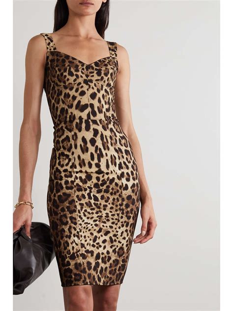 buy dolce and gabbana leopard dress|dolce and gabbana leopard dress.